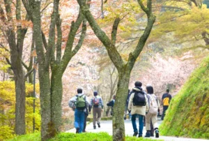 Poeple walking through the cherry blossoms in Mt Yoshino in Nara