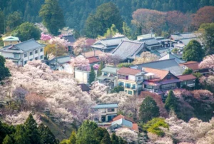 City in Mt Yoshino in Nara