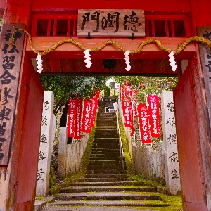 Gate at Sakuramotobo Temple in Yoshino, Nara (Nara Autumn Tour / Tour de otoño en Nara)