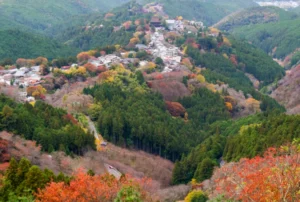 Fall at Mount Yoshino in Nara