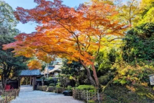 Fall landscape inside Yoshimizu Shrine in Yoshino, Nara