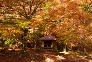 Fall landscape at Mount Yoshino in Nara