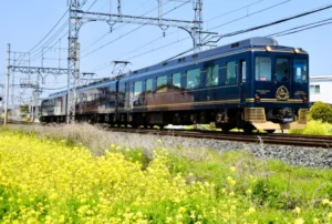 Blue Symphony train going from Osaka to Nara