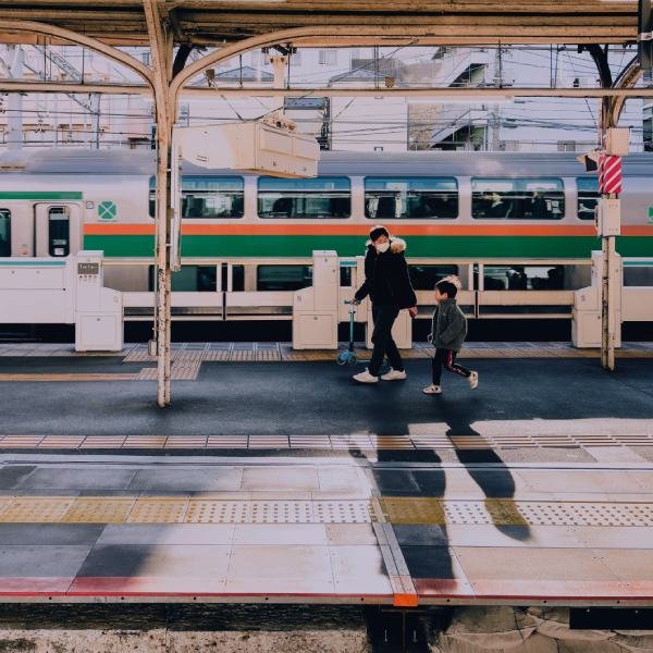 Train (Nara Private Tours / Tours Privados en Nara)