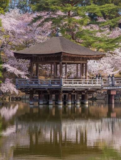 Ukimido Hall: part of the Nara Park tour we go in our Nara Day trip from Osaka / Excursión a Nara desde Osaka / Tour a Nara en español