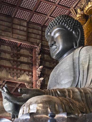 A big part of our Nara Daytrip from Osaka: The big buddha we saw / Excursión a Nara desde Osaka / Tour a Nara en españolduring our Nara Park Tour