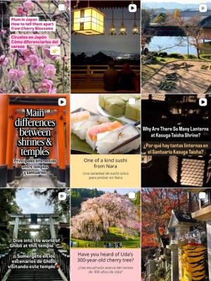 Nara Day trip from Osaka / Nara Park Tour / Social media screenshot / Excursión a Nara desde Osaka / Tour a Nara en español