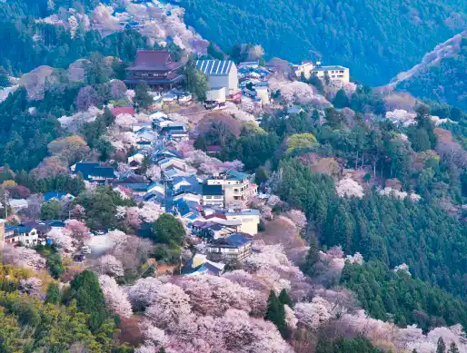Mount Yoshino view in spring