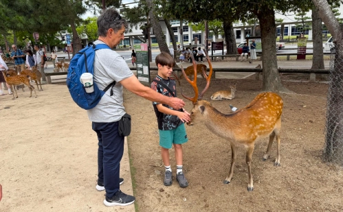 niño y abuelo que tomaron nuestro tour en español en el parque de los ciervos de nara