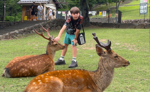 niño español visitando el pareuqe de los ciervos en nara