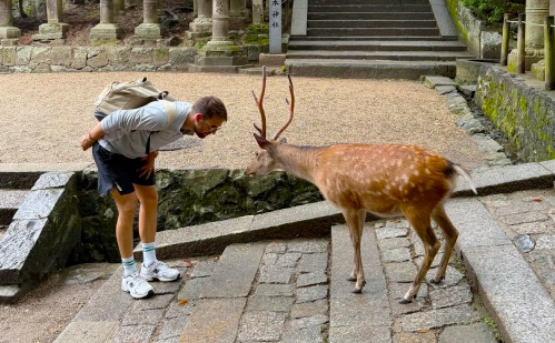Turista de Tenerife interactuando con ciervo en Nara